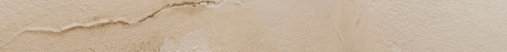 damp proofing in bristol